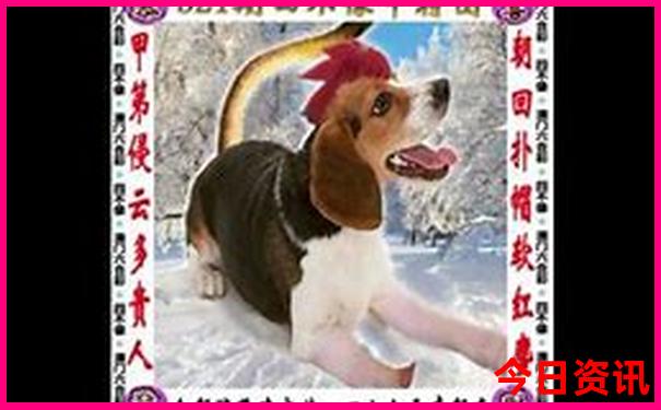 贵州西部是哪些地方